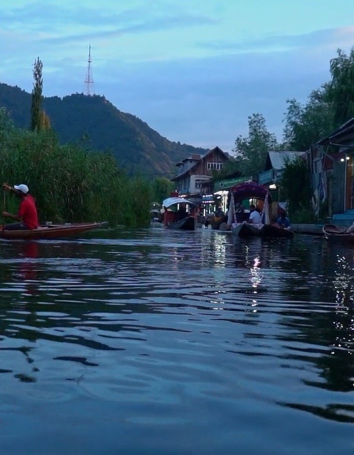 Dal Lake, Srinagar at dusk