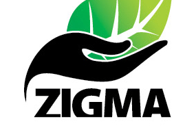Zigma